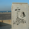 stencil73